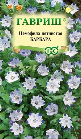 Немофила Барбара 0,3 г (ГАВРИШ) Немофила Барбара 0,3 г (ГАВРИШ)