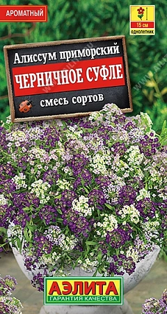Алиссум Черничное суфле, 0,05 г (АЭЛИТА) Алиссум Черничное суфле, 0,05 г (АЭЛИТА)