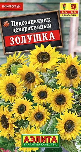 Подсолнечник декоративный Золушка 0,5 г (АЭЛИТА) Подсолнечник декоративный Золушка 0,5 г (АЭЛИТА)