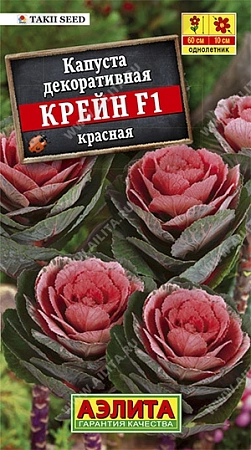 Капуста декоративная Крейн красная F1