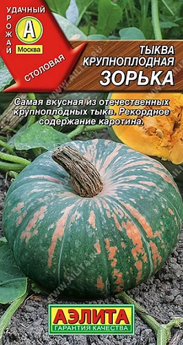 Тыква крупноплодная Зорька, 2 г Тыква крупноплодная Зорька, 2 г