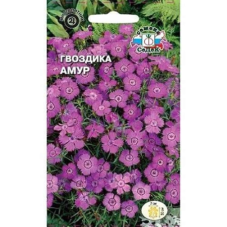 Гвоздика Амур многолетник, 0,1 г (Седек)