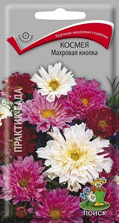 Космея Махровая кнопка 0,1 г (Поиск) Космея Махровая кнопка 0,1 г (Поиск)