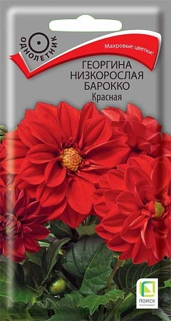 Георгина Барокко Красная, 0,1 г (Поиск)