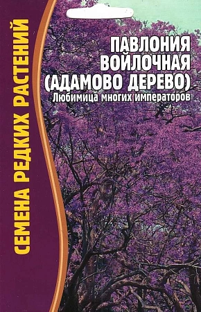 Павлония войлочная (Адамово дерево), 10 шт (Ред сем)