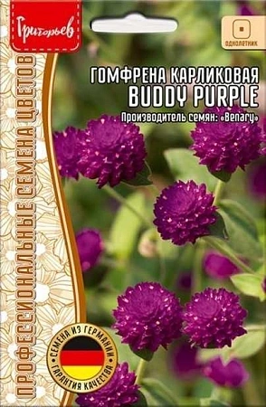 Гомфрена Buddy Purple карликовая шаровидная однолетник, 5 шт (Ред.Сем)