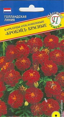 Бархатцы отклоненные Брокэйд Красные, 20 шт (Престиж)