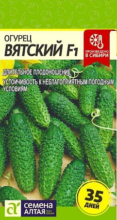 Огурец Вятский F1, 7 шт (Семена Алтая) Огурец Вятский F1, 7 шт (Семена Алтая)