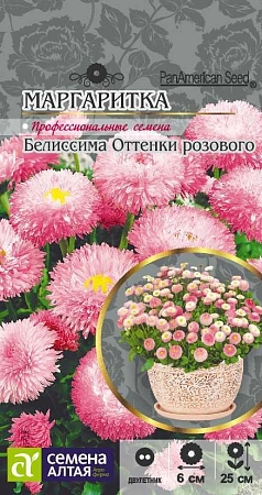 Маргаритка Белиссима Оттенки розового, 8 шт
