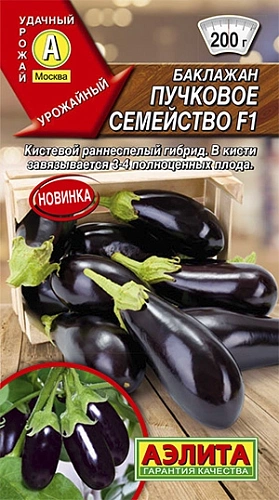 Баклажан Пучковое семейство F1, 0,1 г (АЭЛИТА) Баклажан Пучковое семейство F1, 0,1 г (АЭЛИТА)