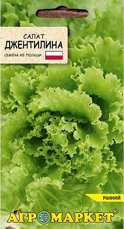 Салат Джентилина, 0,5 г (Агромаркет) Салат Джентилина, 0,5 г (Агромаркет)