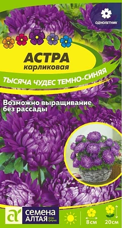 Астра Тысяча чудес темно-синяя карликовая 0,2 г Астра Тысяча чудес темно-синяя карликовая 0,2 г
