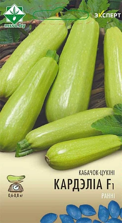 Кабачок Корделиа F1, 6 шт (Эксперт) (МССО) Кабачок Корделиа F1, 6 шт (Эксперт) (МССО)