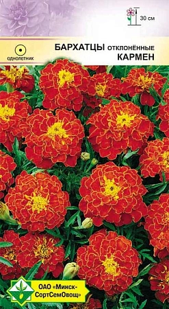 Бархатцы Кармен отклоненные, 0,5 г (МССО) Бархатцы Кармен отклоненные, 0,5 г (МССО)