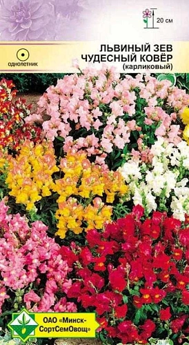 Львиный зев Чудесный ковер, 0,2 г (МССО) Львиный зев Чудесный ковер, 0,2 г (МССО)