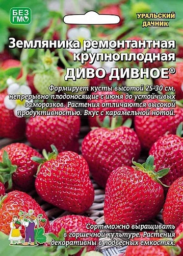 Земляника Диво дивное ремонтантная, 10 шт (УД) Земляника Диво дивное ремонтантная, 10 шт (УД)
