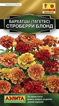 Бархатцы Строберри блонд, 5 шт