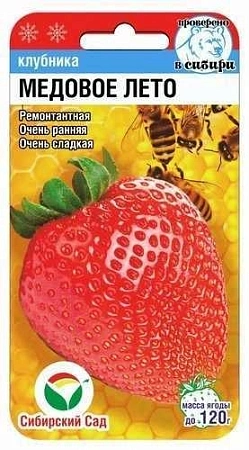 Земляника Медовое лето, 5 шт (Сиб Сад)