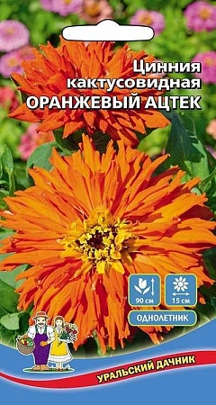 Цинния Оранжевый Ацтек кактусовидная (УД)