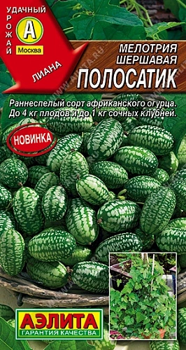 Мелотрия (мышиная дыня) Полосатик 0,03 г (АЭЛИТА) Мелотрия (мышиная дыня) Полосатик 0,03 г (АЭЛИТА)