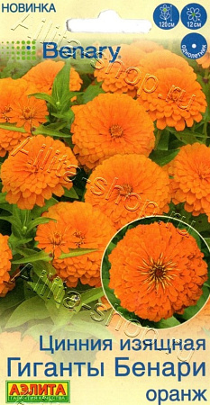 Цинния Гиганты Бенари оранж 7 шт (АЭЛИТА) Цинния Гиганты Бенари оранж 7 шт (АЭЛИТА)