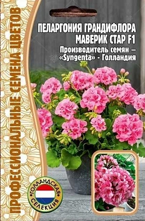 Пеларгония Грандифлора Маверик Стар F1, 3 шт (Ред.сем)