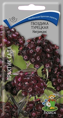 Гвоздика турецкая Нигриканс, 0,3 г