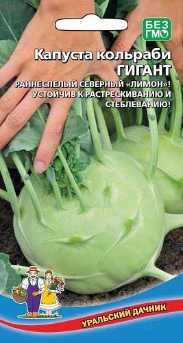 Капуста кольраби Гигант (УД) Капуста кольраби Гигант (УД)