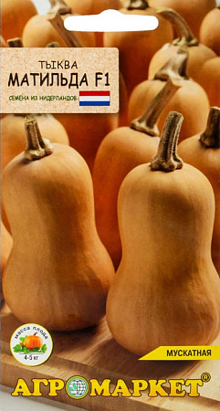 Тыква Матильда F1, 5 шт (Агромаркет)