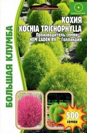 Кохия волосистая Большая клумба однолетник, 300 шт (Ред.сем)