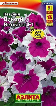 Петуния Пикоти Вельвет F1 многоцветковая, 10 шт Петуния Пикоти Вельвет F1 многоцветковая, 10 шт