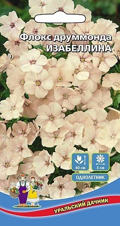 Флокс друммонда Изабеллина (УД) Флокс друммонда Изабеллина (УД)
