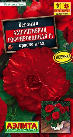 Бегония Америгибрид гофрированная F1 красно-алая, 5 шт (АЭЛИТА)