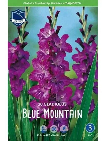 Гладиолус Blue Mountain (Budget packs), 5 шт (Lefeber)