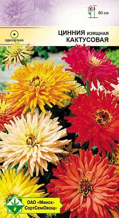 Цинния изящная Кактусовая, смесь 0,5 г (МССО) Цинния изящная Кактусовая, смесь 0,5 г (МССО)