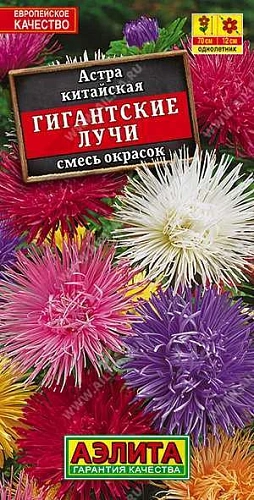 Астра Гигантские лучи, смесь сортов 0,2 г (АЭЛИТА) Астра Гигантские лучи, смесь сортов 0,2 г (АЭЛИТА)