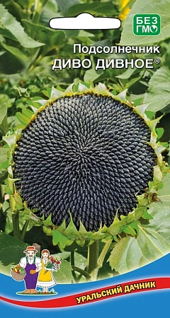 Подсолнечник Диво дивное 5 г Подсолнечник Диво дивное 5 г