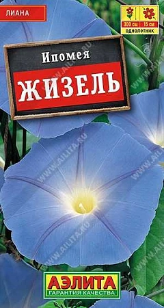 Ипомея Жизель, 1 г (АЭЛИТА)