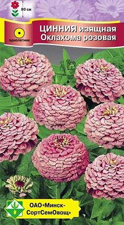 Цинния изящная Оклахома Розовая 0,2 г (МССО) Цинния изящная Оклахома Розовая 0,2 г (МССО)