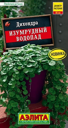 Дихондра Изумрудный водопад, 3 шт (АЭЛИТА)