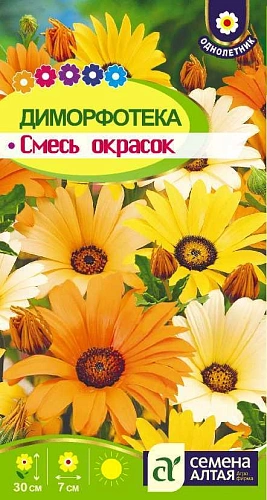 Диморфотека смесь, 0,2 г (Сем Алт) Диморфотека смесь, 0,2 г (Сем Алт)