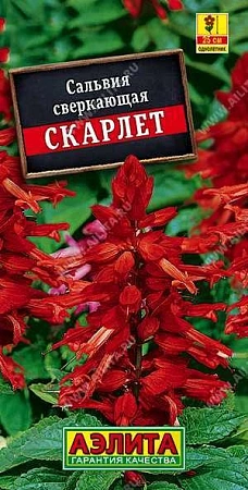 Сальвия Скарлет 0,1 г (АЭЛИТА)