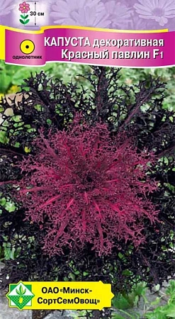 Капуста декоративная Красный павлин F1, 7 шт (МССО) Капуста декоративная Красный павлин F1, 7 шт (МССО)