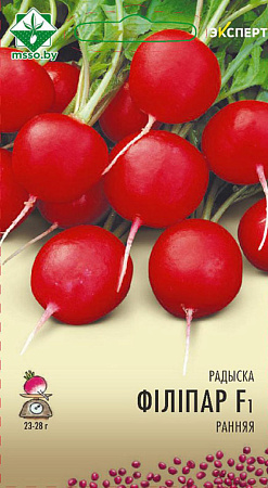 Редис Филипар F1, 1 г (Эксперт) (МССО)
