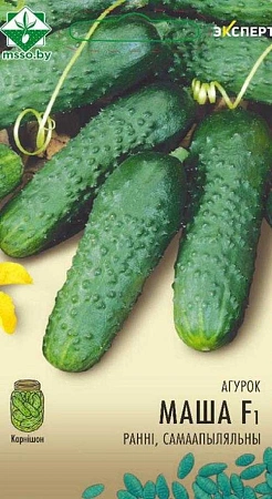 Огурец Маша F1, 7 шт (Эксперт) (МССО) Огурец Маша F1, 7 шт (Эксперт) (МССО)