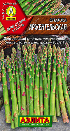 Спаржа Аржентельская, 20 шт (Аэлита) Спаржа Аржентельская, 20 шт (Аэлита)
