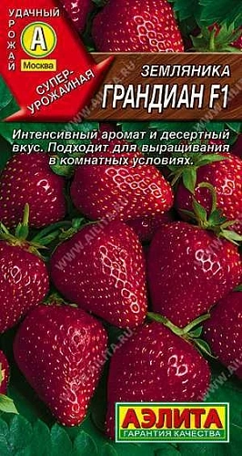 Земляника Грандиан F1, 5 шт (АЭЛИТА) Земляника Грандиан F1, 5 шт (АЭЛИТА)