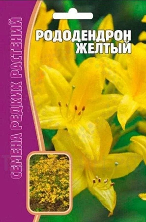 Рододендрон Желтый, 25 шт (Ред сем)