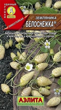 Земляника Белоснежка, 0,04 г (Аэлита) Земляника Белоснежка, 0,04 г (Аэлита)