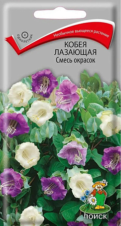 Кобея лазающая смесь окрасок, 5 шт (Поиск)